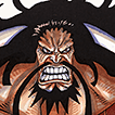 KAIDO