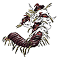 PUZZLE SCORPIONS