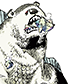 SEA BEAR