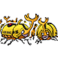 GOLDEN RHINOCEROS BEETLES (YELLOW CUBS)